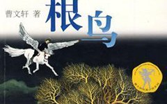 《金枝》读后感精选