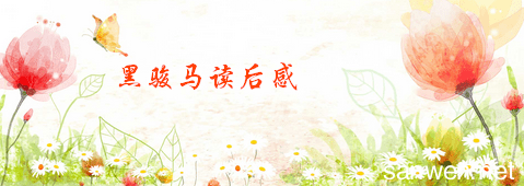 冒险与直觉读后感锦集