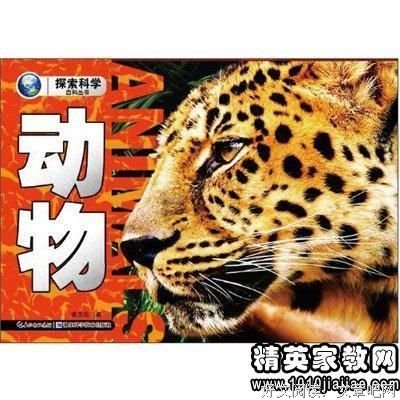 《小鸟》读后感100字