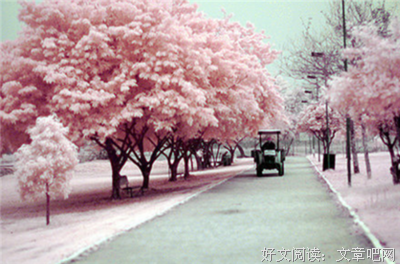 描写落落大方的语句摘抄