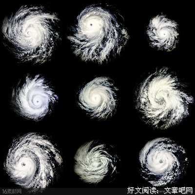 台风眼读后感锦集