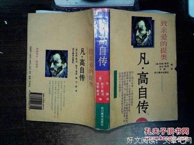 亲爱的提奥读后感1000字