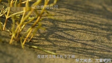 《天堂五分钟》观后感精选