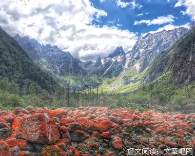 《高山上的恋人》观后感摘抄