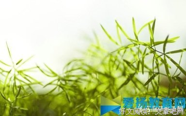 一鸣惊人的句子