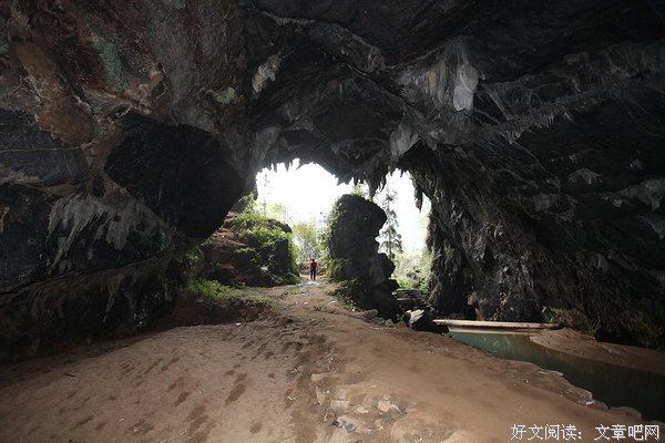 《遗产风波》影评摘抄