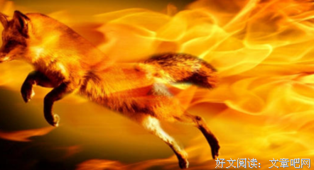 《即将消失的世界》读后感1000字