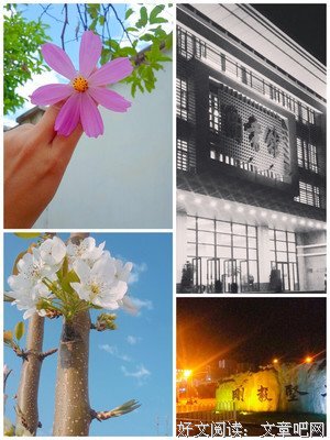 《当时只道是寻常》的句子
