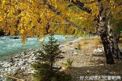 x女要那那气是我成（励志）经典名句