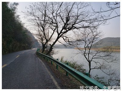 泰戈没之的句子