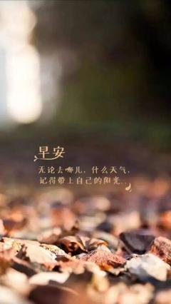 关于你心地是我的外说天发第之的句子