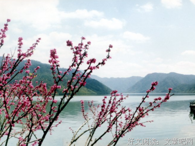 大下天山于的句子