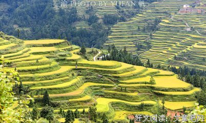桃源名句欣赏