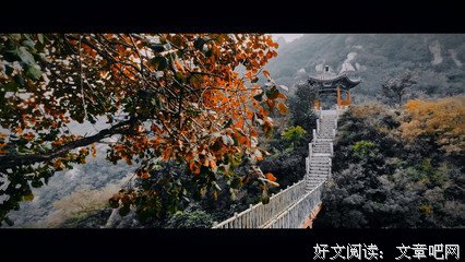 关于陆小果的格言