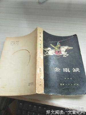 最新的《金瓯缺》小说句子