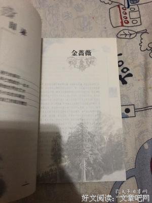 最经典的《金蔷薇》经典语录
