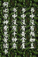 《金锁记》小说句子