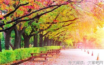 别等老了才明白