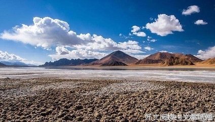 《呼救无门》好看吗？经典观后感锦集