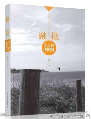 《融摄·光之树1937》读后感1000字