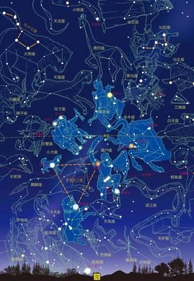 伴星共生读后感1000字