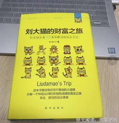 刘大猫的财富之旅的读后感大全