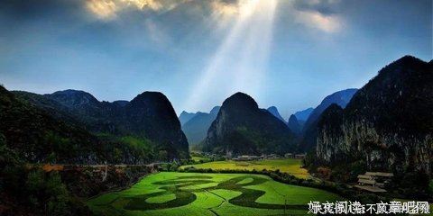 《无可无不可的王国》读后感摘抄