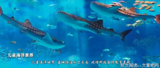 《天堂来的孩子》经典观后感有感