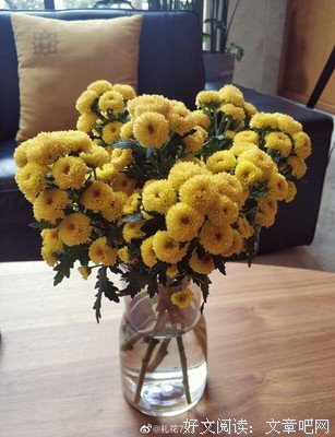 《放学后的屋顶》经典观后感有感