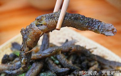《拜见岳父大人3》的影评大全