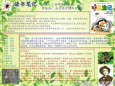 浪食记读后感100字