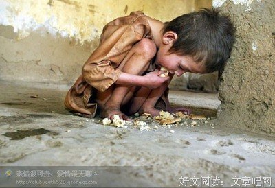 雨读后感100字