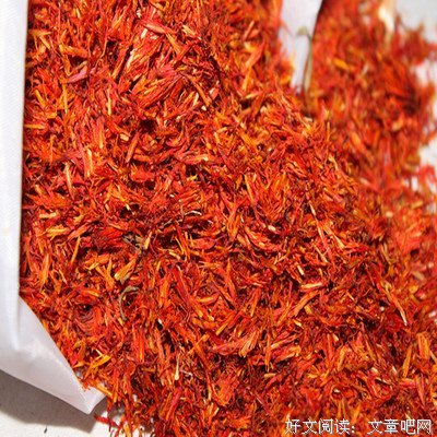 《变态冻尸》观后感精选