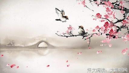 清风如有韵经典读后感有感