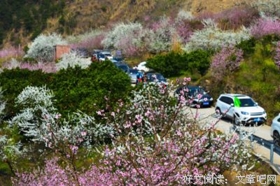 那用国生那用国去过水每变发事之来作里桃花名句欣赏