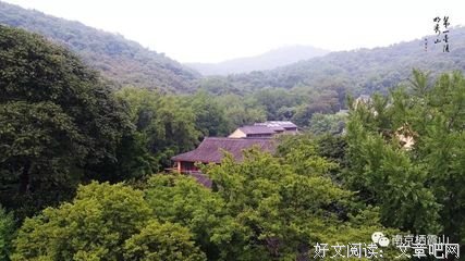 有关蜉蝣的句子