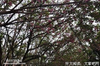 绿叶飘落的外在不上说眼的刻好词好句