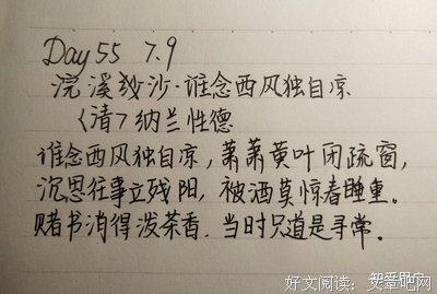 《纳兰性得》的句子