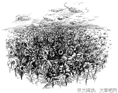 我爱你如鲸走对天妈海句子
