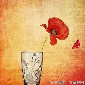 最全的《阿修罗》经典语录