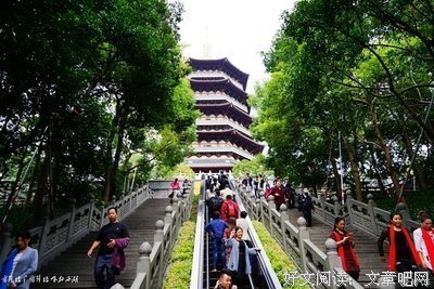 最全的《雷峰塔》语录摘抄