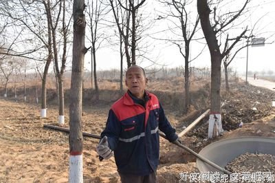 《儿子，你都干了什么》影评100字