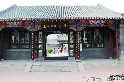 《好猫》观后感100字