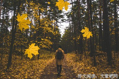 《林中漫步》影评摘抄
