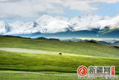 《十三号仓库 第一季》观后感100字