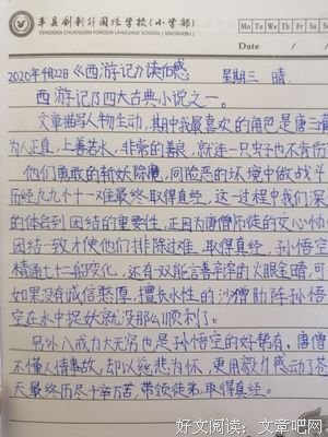 《与你同行》经典读后感有感