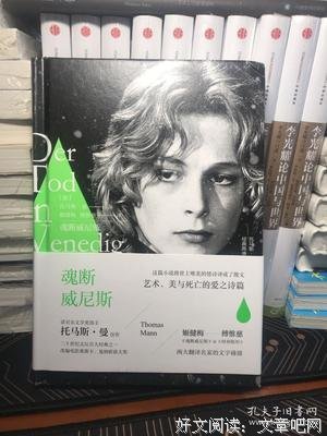 《魂断威尼斯》读后感100字