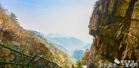 《愿你能静守生活，愿您能走遍天涯》读后感1000字