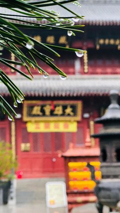 关于清心寡欲的座右铭