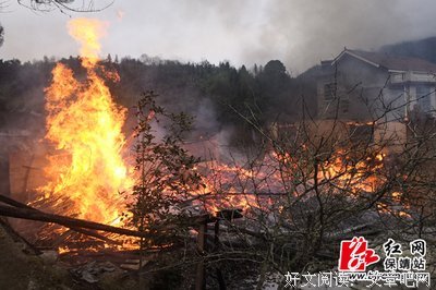 《无情》好看吗？经典影评锦集